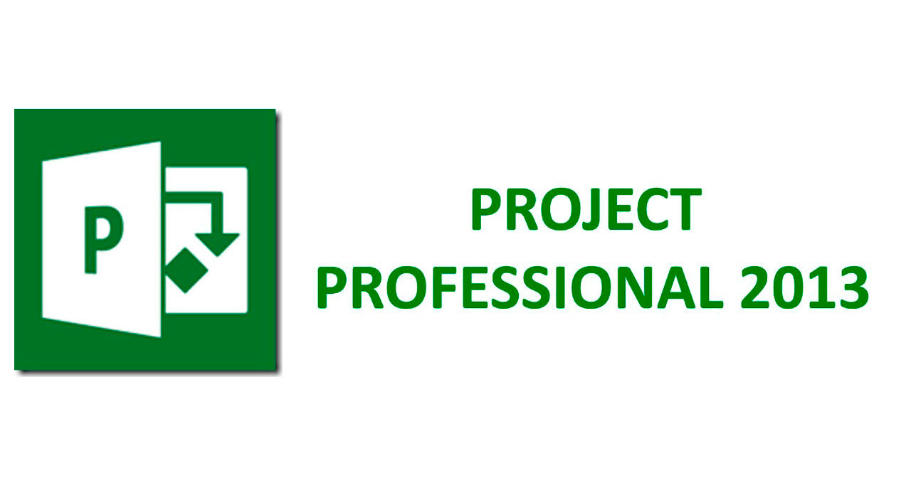 Microsoft Project Professional 2013