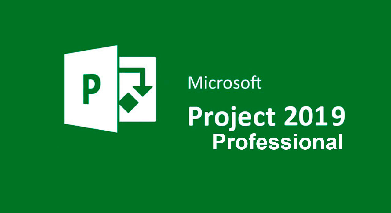 Microsoft Project Professional 2019
