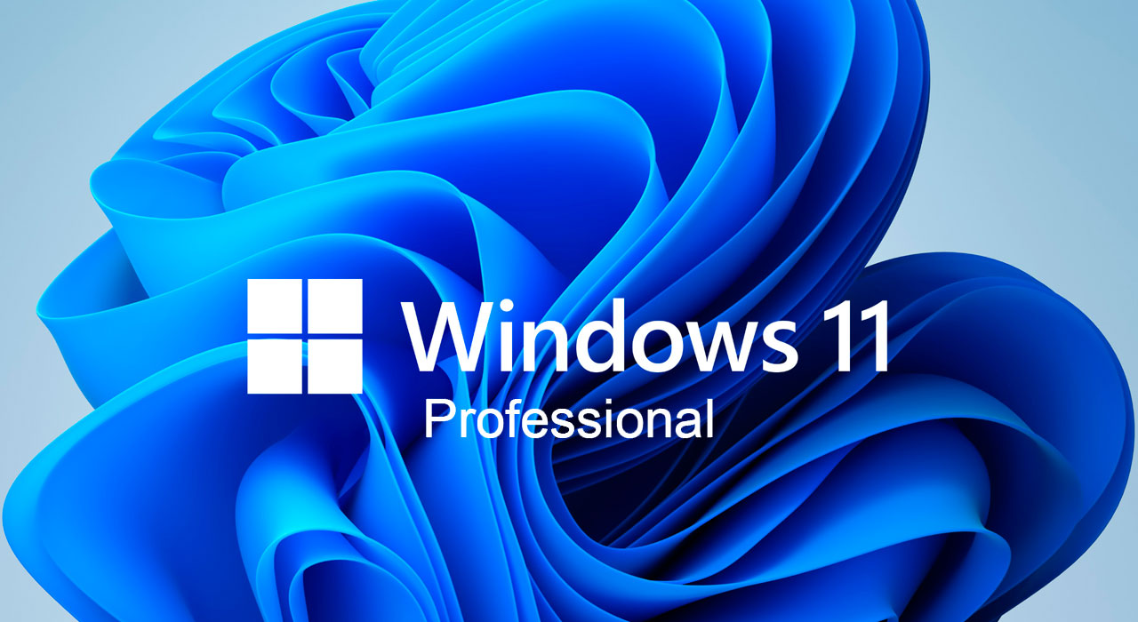 Microsoft Windows 11 Pro
